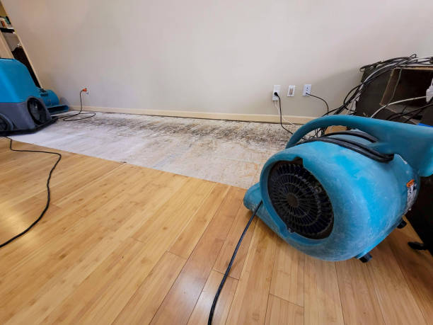 Professional Structural Drying technician working in Cairo, NE